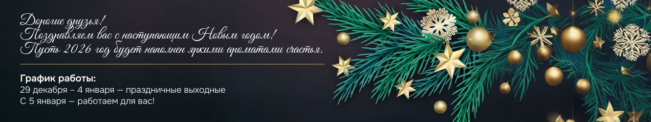 График работы в Новогодние праздники