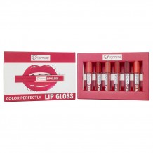Набор блесков для губ Flomar Color Perfecnly 6 в1